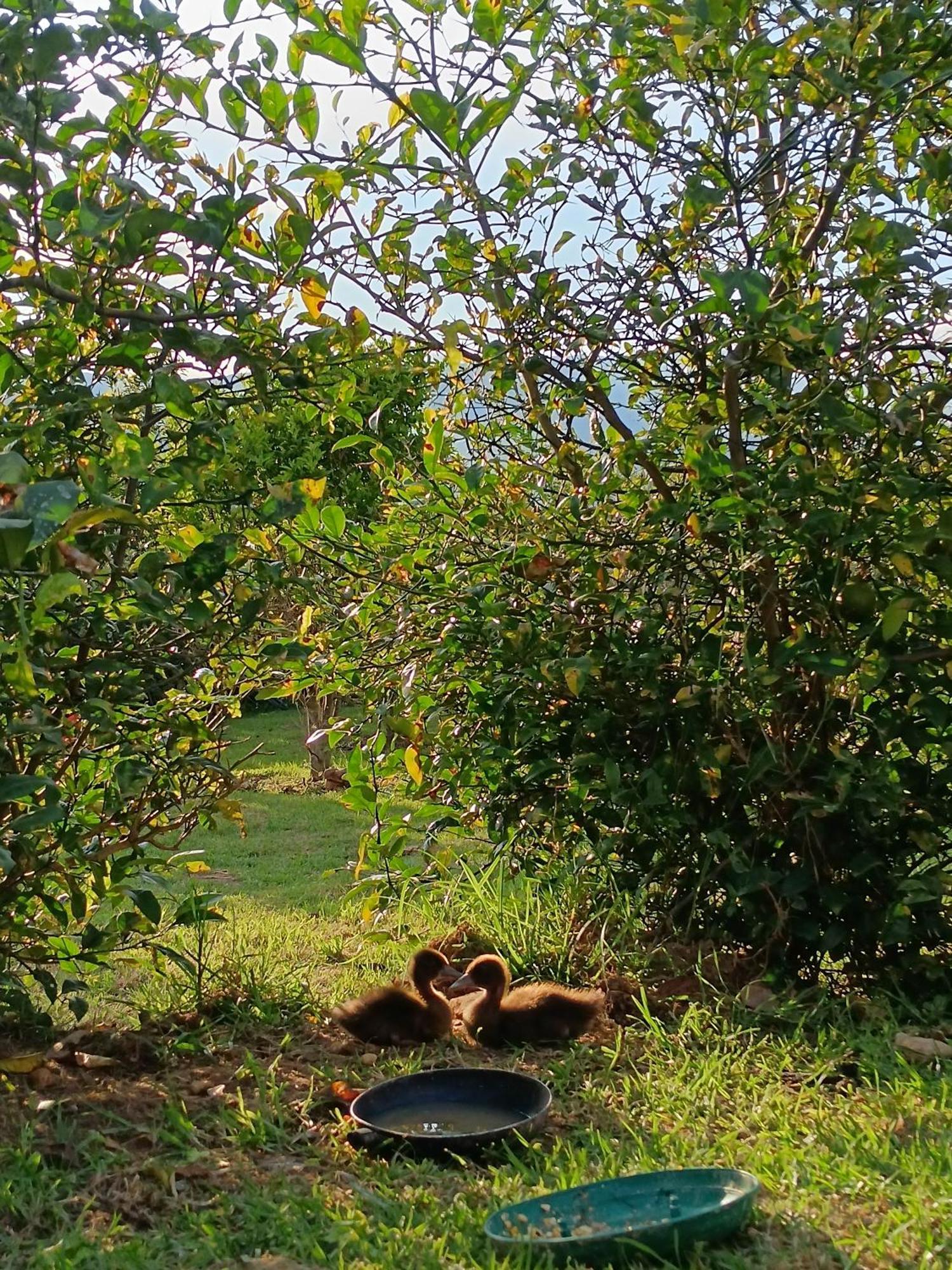 Cabana Escondite Sabana Otel Villa de Leyva Dış mekan fotoğraf